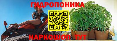 мдпв Кохма