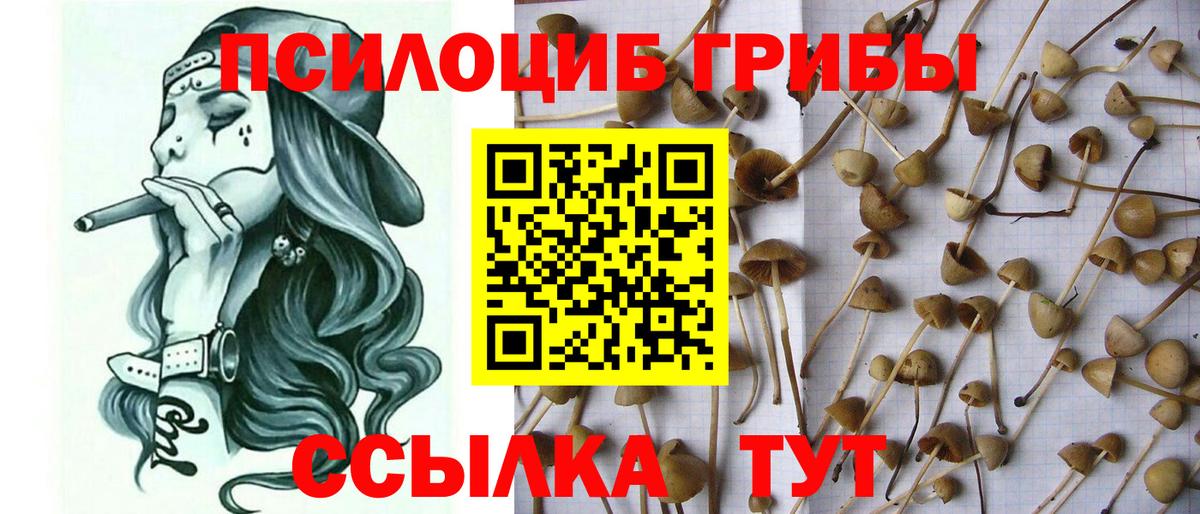 Галлюциногенные грибы GOLDEN TEACHER Александров