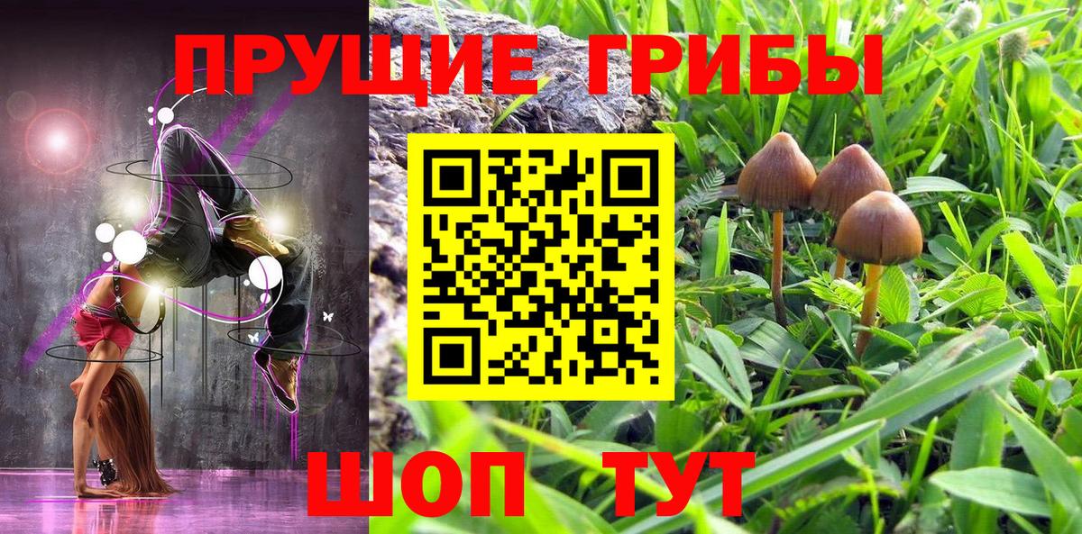 Галлюциногенные грибы ЛСД  даркнет сайт  Александров  Вход с VPN 